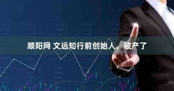 顺阳网 文远知行前创始人，破产了