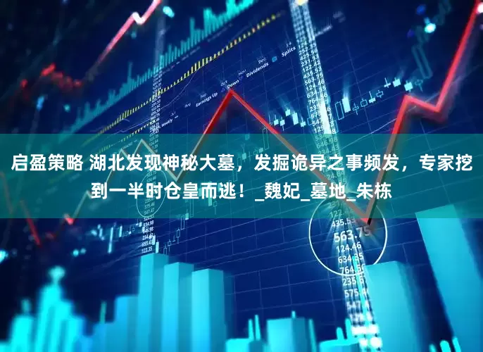 启盈策略 湖北发现神秘大墓，发掘诡异之事频发，专家挖到一半时仓皇而逃！_魏妃_墓地_朱栋