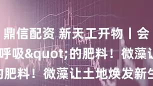 鼎信配资 新天工开物丨会"呼吸"的肥料！微藻让土地焕发新生机